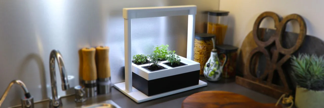 Cultivate Your Urban Oasis Today